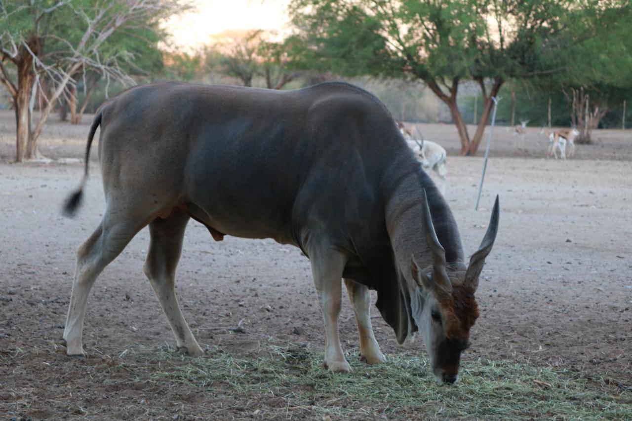 كيتمانشوب Maritz Country Lodge المظهر الخارجي الصورة